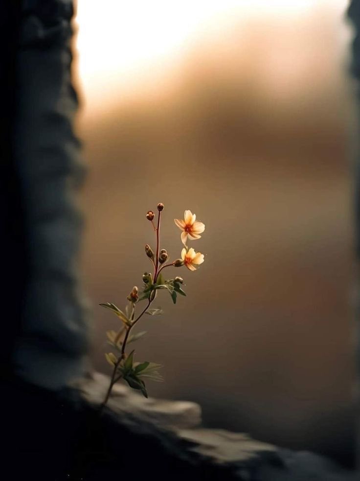 ‏ᵃᵇᵈᵘˡˡᵃʰ tweet media