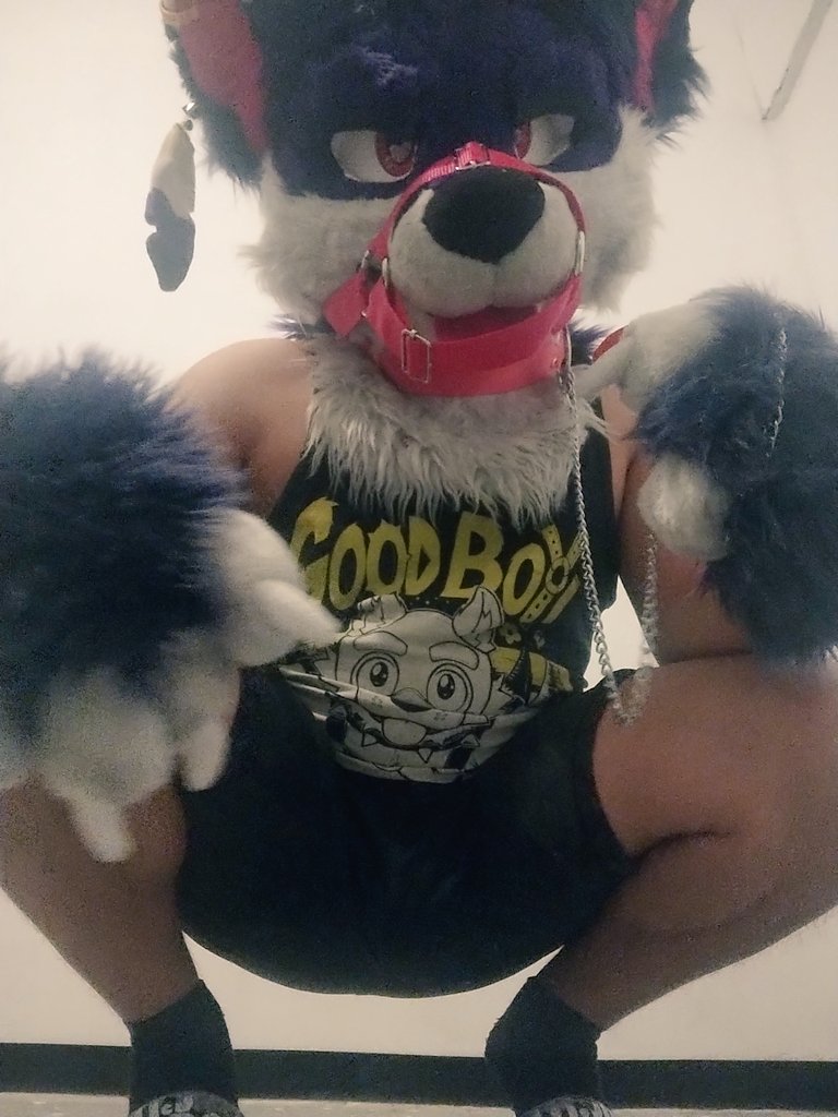 MooncitoTheFox 💜🦊-*********💜💜💜 tweet media