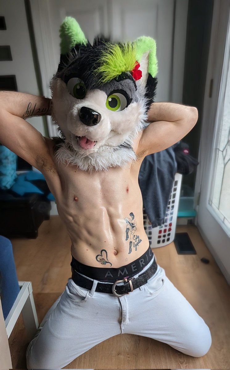 💚𝐅𝐢𝐫𝐞𝐟𝐥𝐲 𝐖𝐨𝐥𝐟𝐲~ 🔜AC tweet media