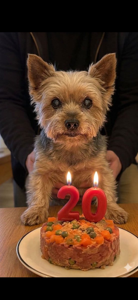 Animales y Naturaleza tweet media