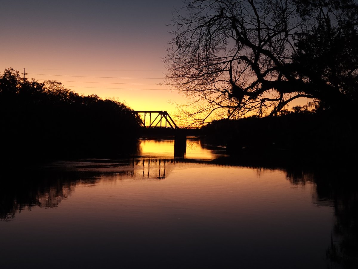Suwannee River WMD tweet media