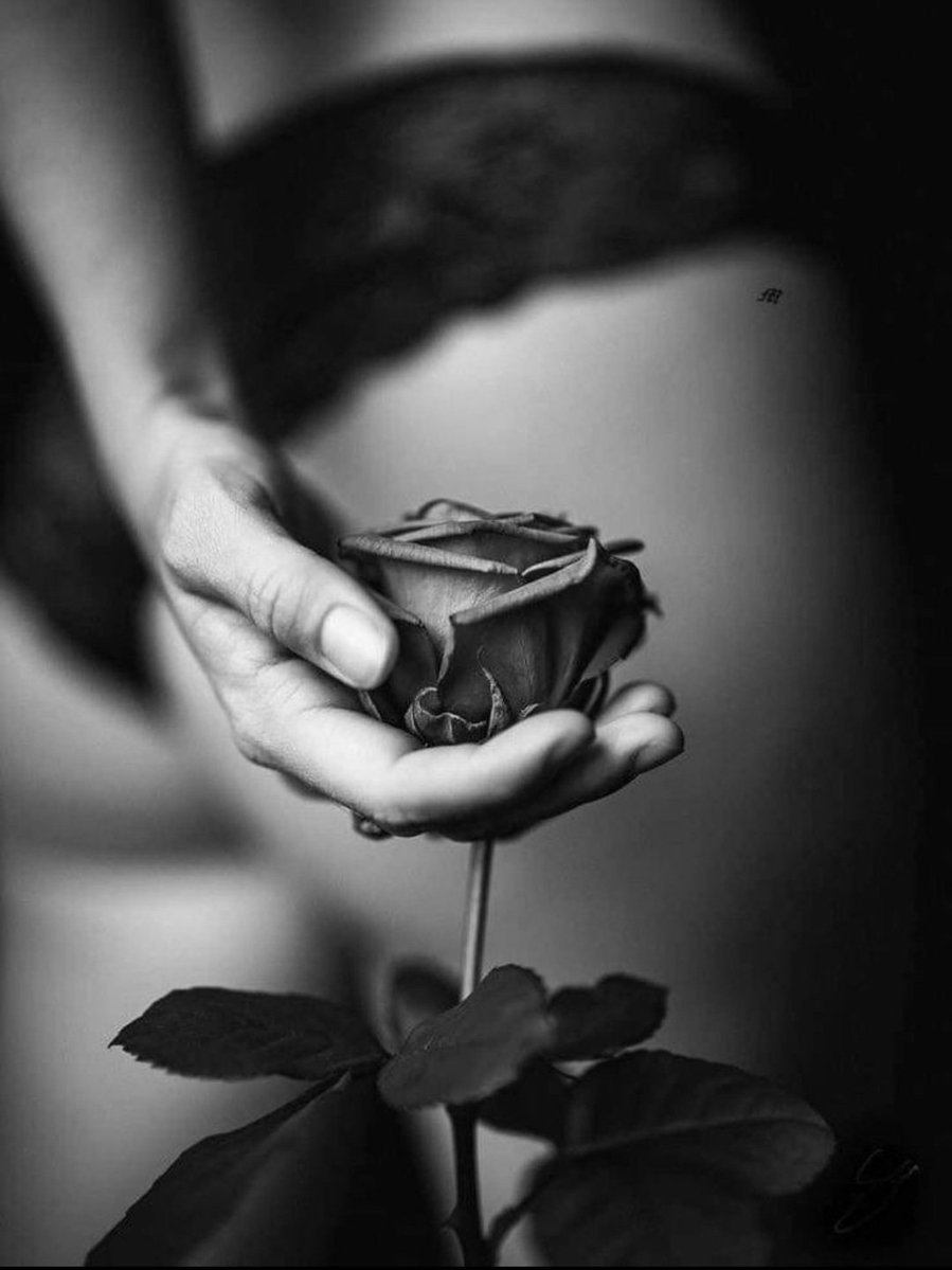 Roos🌹 tweet media