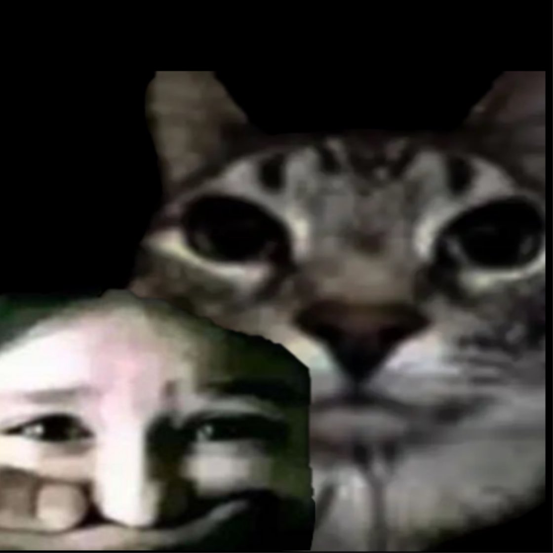 مش طايقاكم tweet media