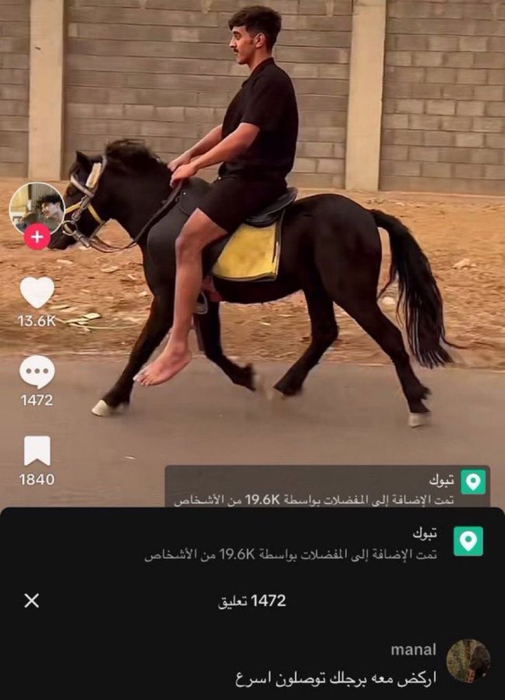 انس ماغيره tweet media