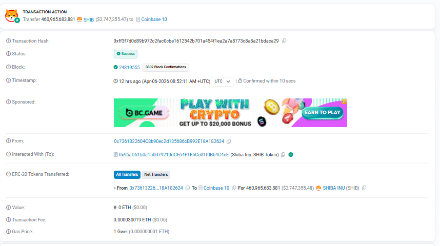 OnChainWallets tweet media
