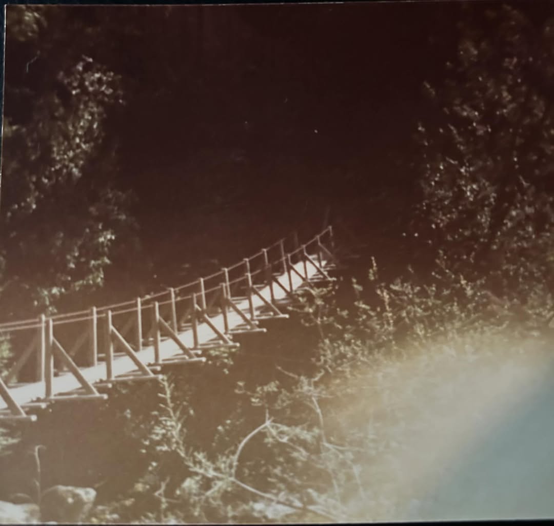 Cowboy Gospeler tweet media