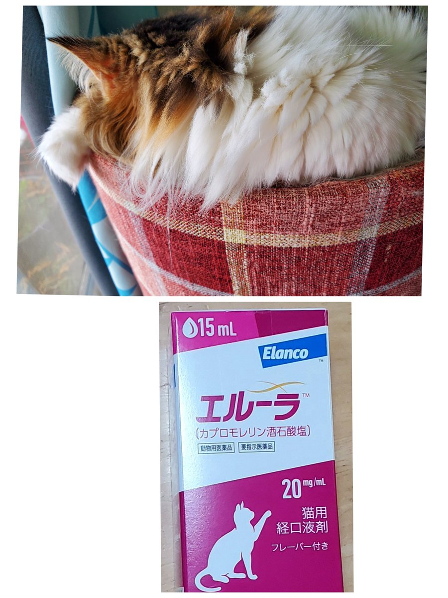 ゆりりん tweet media