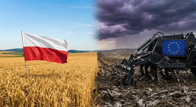 Popieram Karola Nawrockiego 🇵🇱 tweet media