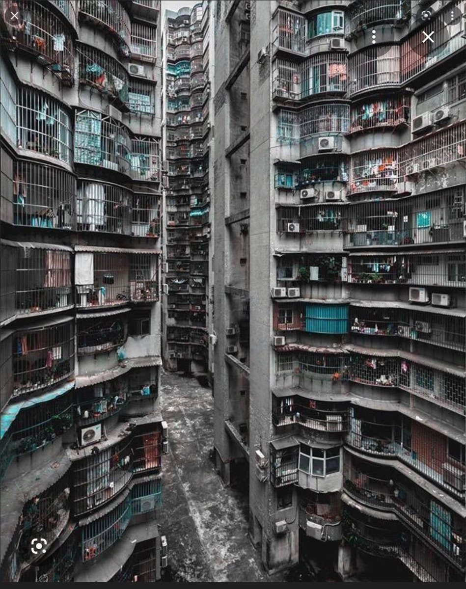 Taf Tarski tweet media