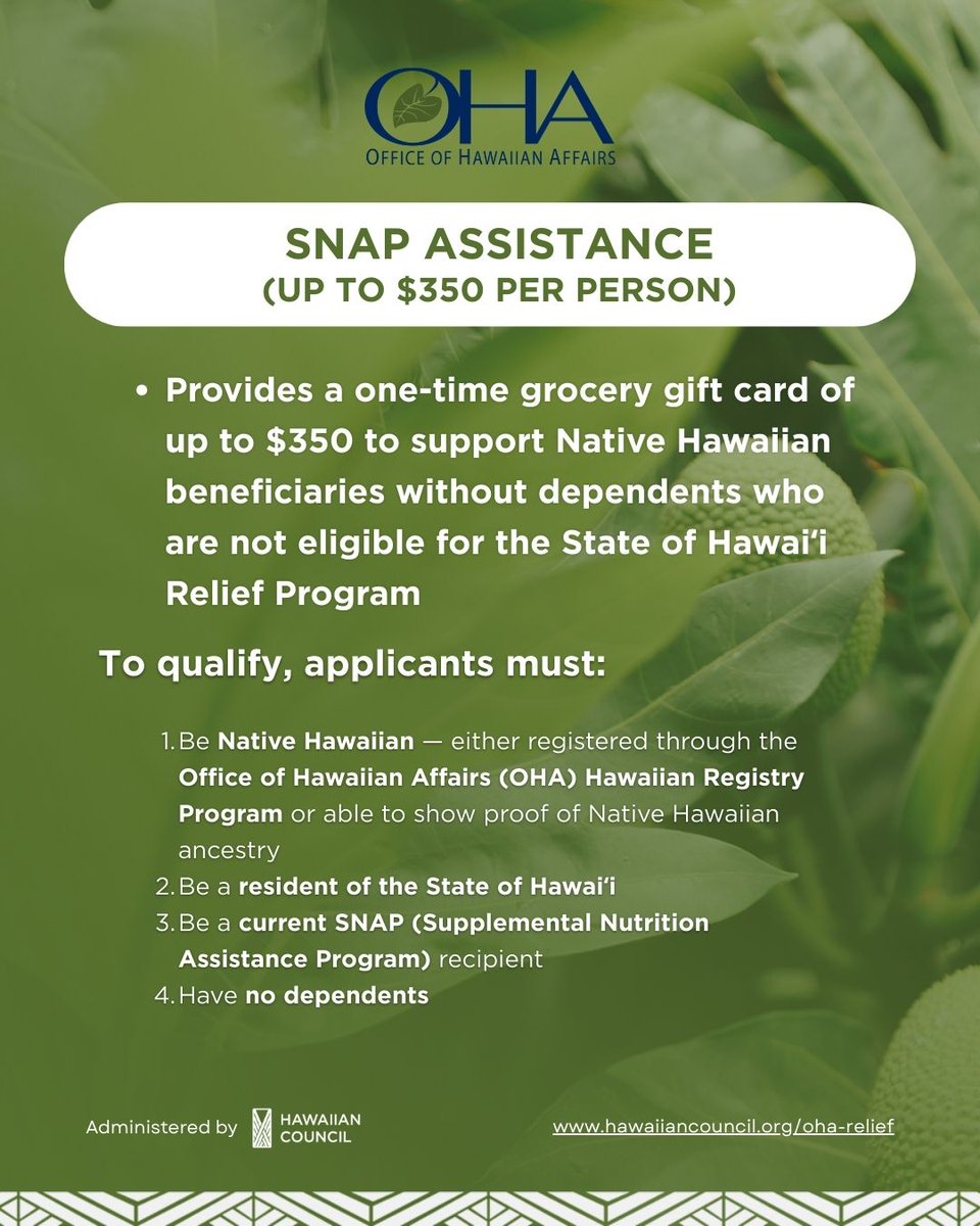 Project Vision Hawaii tweet media