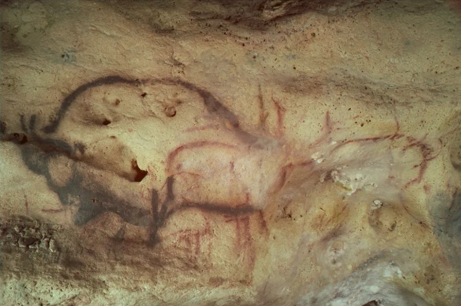 PNASNews tweet media