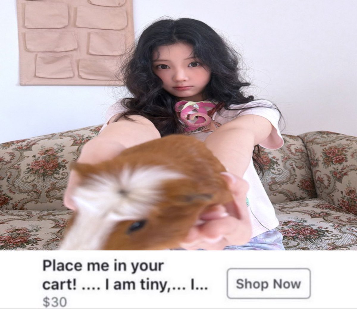 it's apple tweet media