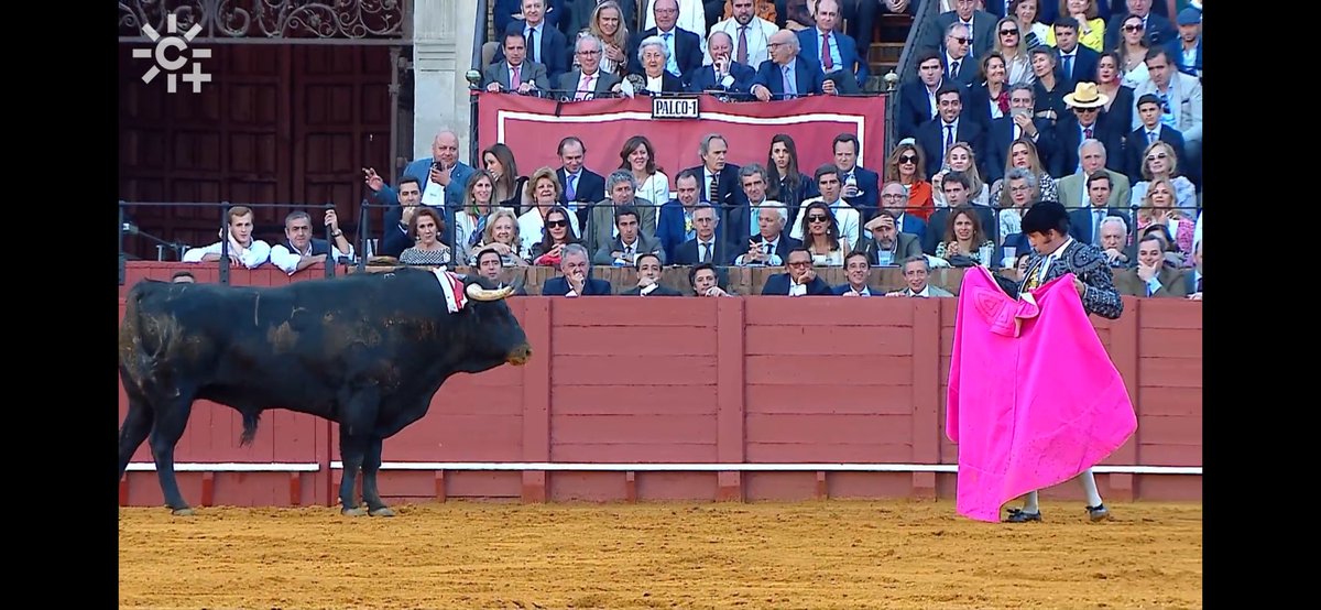 CanalDeToros's tweet photo. Aquí en su segundo toro fue el #minutodeoro del festejo casi 600000 espectadores vieron hacer el quite a Morante en @canalsur https://t.co/DlAEucGWuu