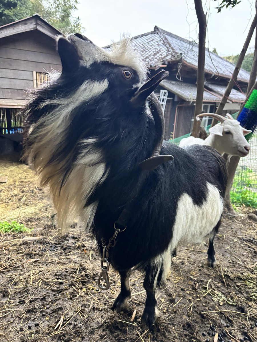 エリック🌺ゆるニート大家 tweet media