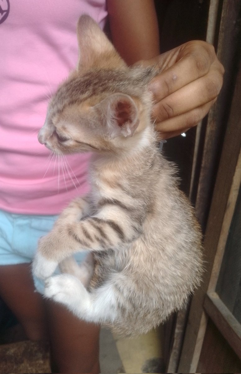 @My_Oxband😎💯 tweet media