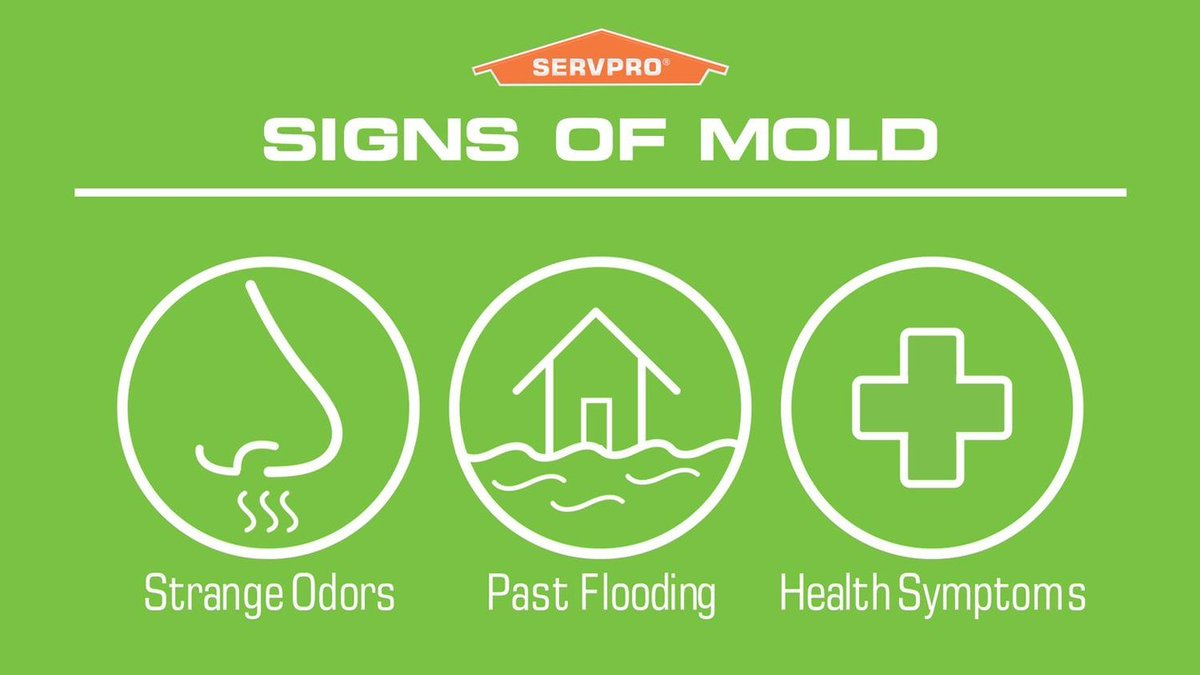 Could you have mold in your home or office? If you are experiencing any of these signs, it's possible. Call SERVPRO of Spokane County for mold inspection, testing, mitigation and remediation.