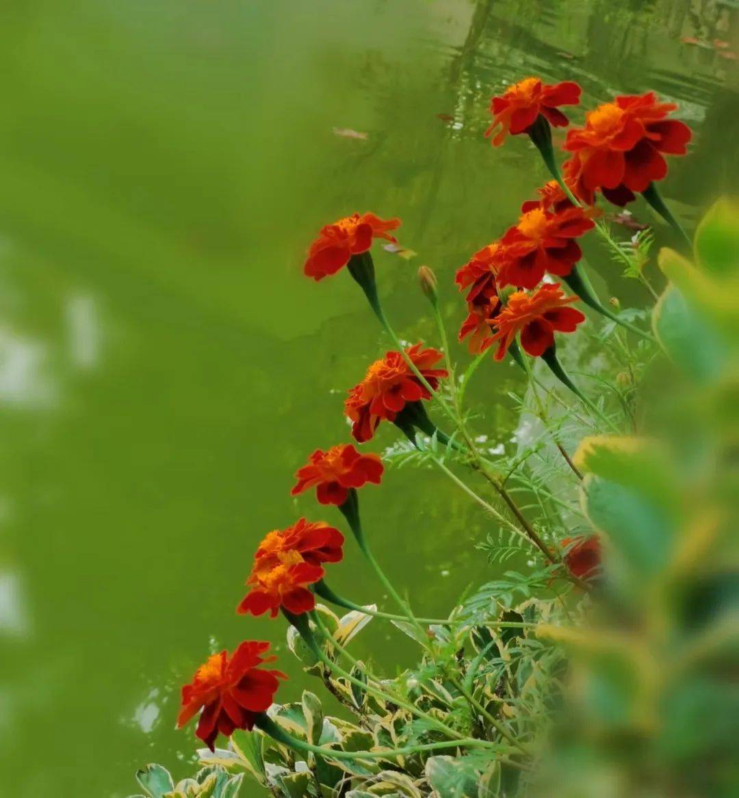 西岡健太 tweet media