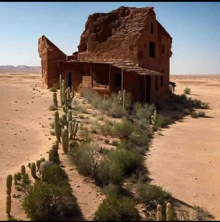 ManalEssawy tweet media