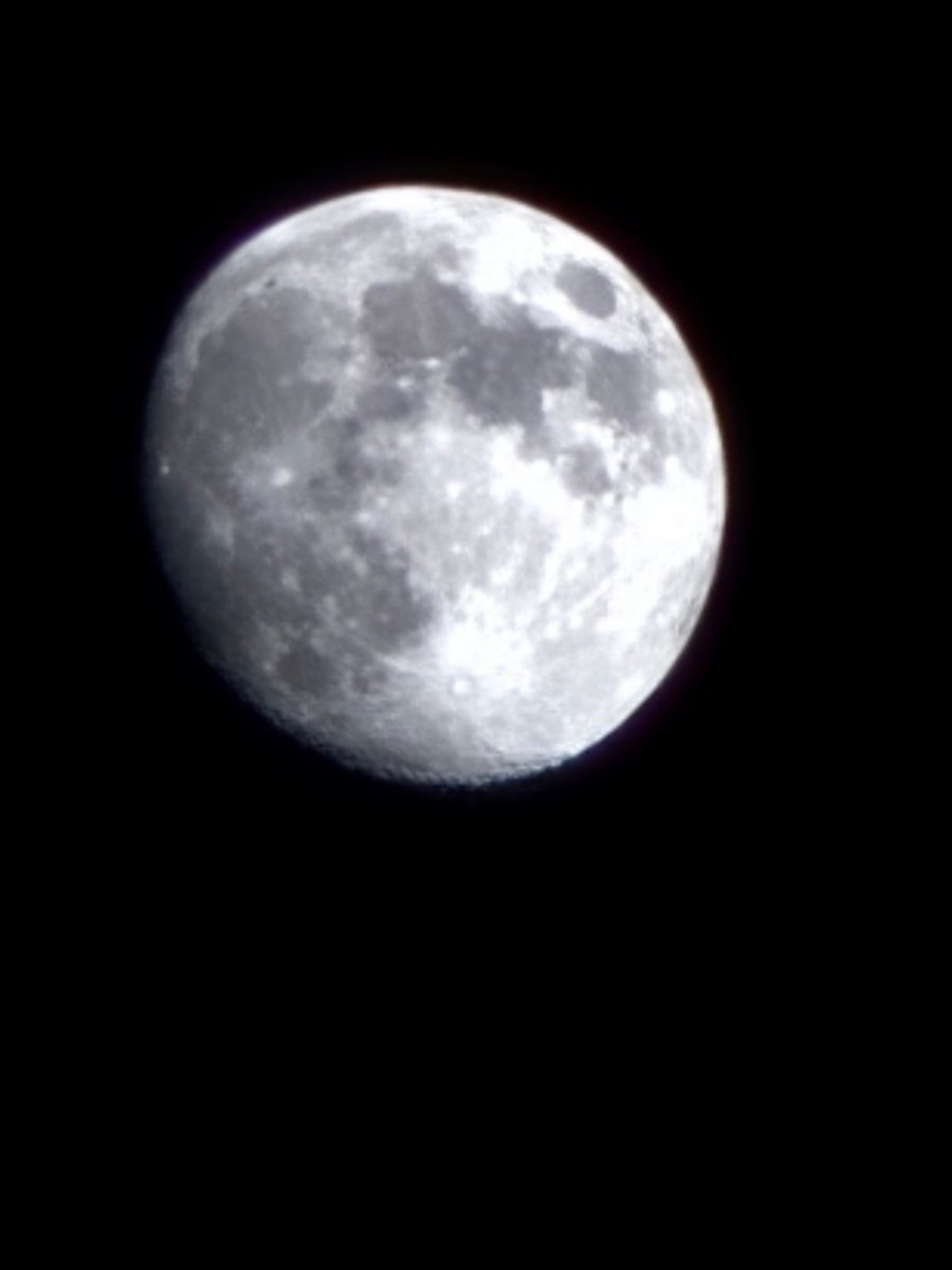 Dimitrus tweet media