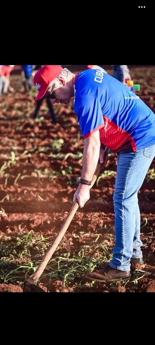 El presidente de #Cuba, 
<a href="/DiazCanelB/">Miguel Díaz-Canel Bermúdez</a>
  participó en una jornada de trabajo voluntario en Artemisa, enfocada en la producción de alimentos junto a los Jóvenes  en la celebración  de su  #64Aniversario 
#TercerFrente
#SantiagoDeCuba 
#dgetercerfrente
#dgeSantiagodeCuba