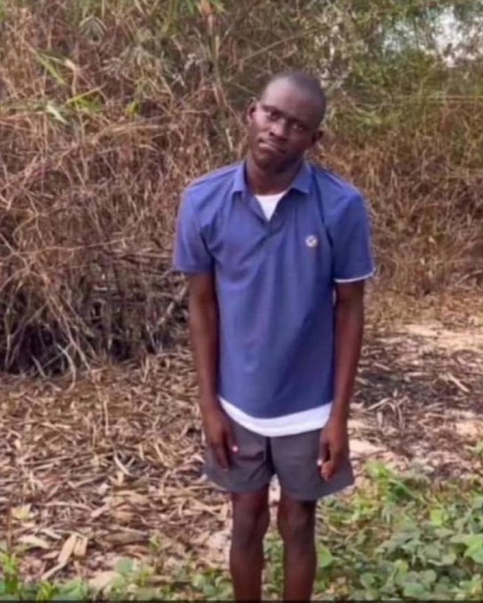 Broddauche tweet media