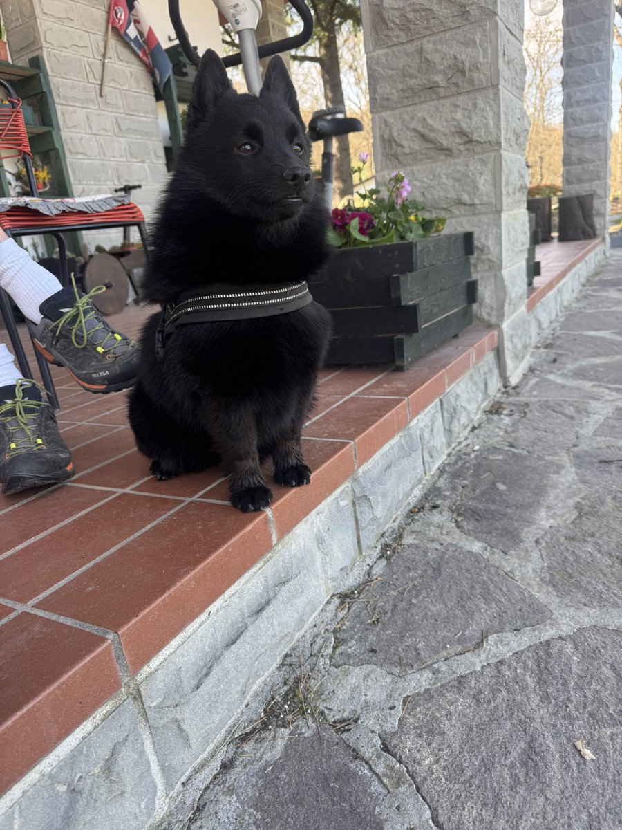 AshlinLuce's tweet photo. Questo nanetto qui ❤️ https://t.co/y5HAtoTJD4