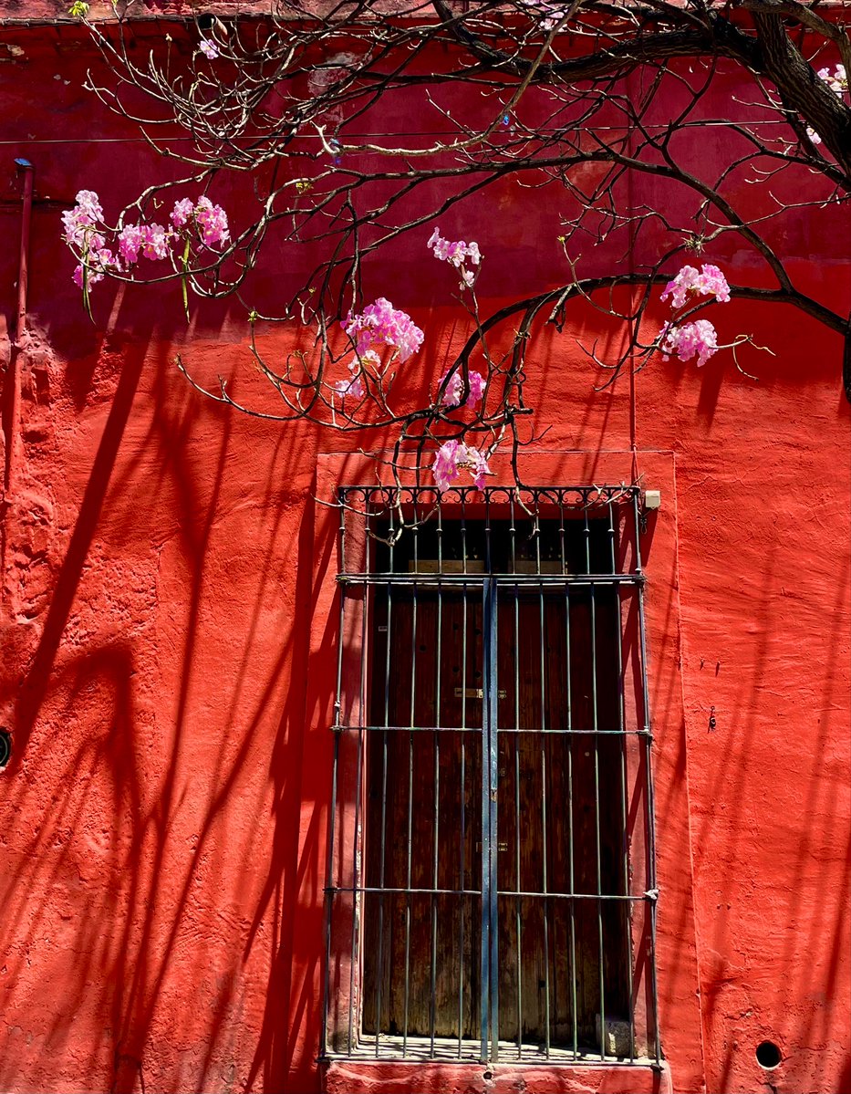 Eduardo González tweet media