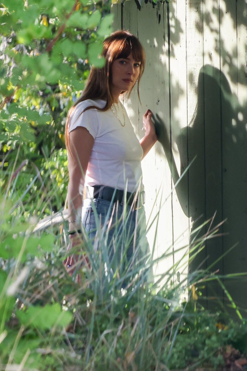 Dakota Johnson Argentina Media tweet media