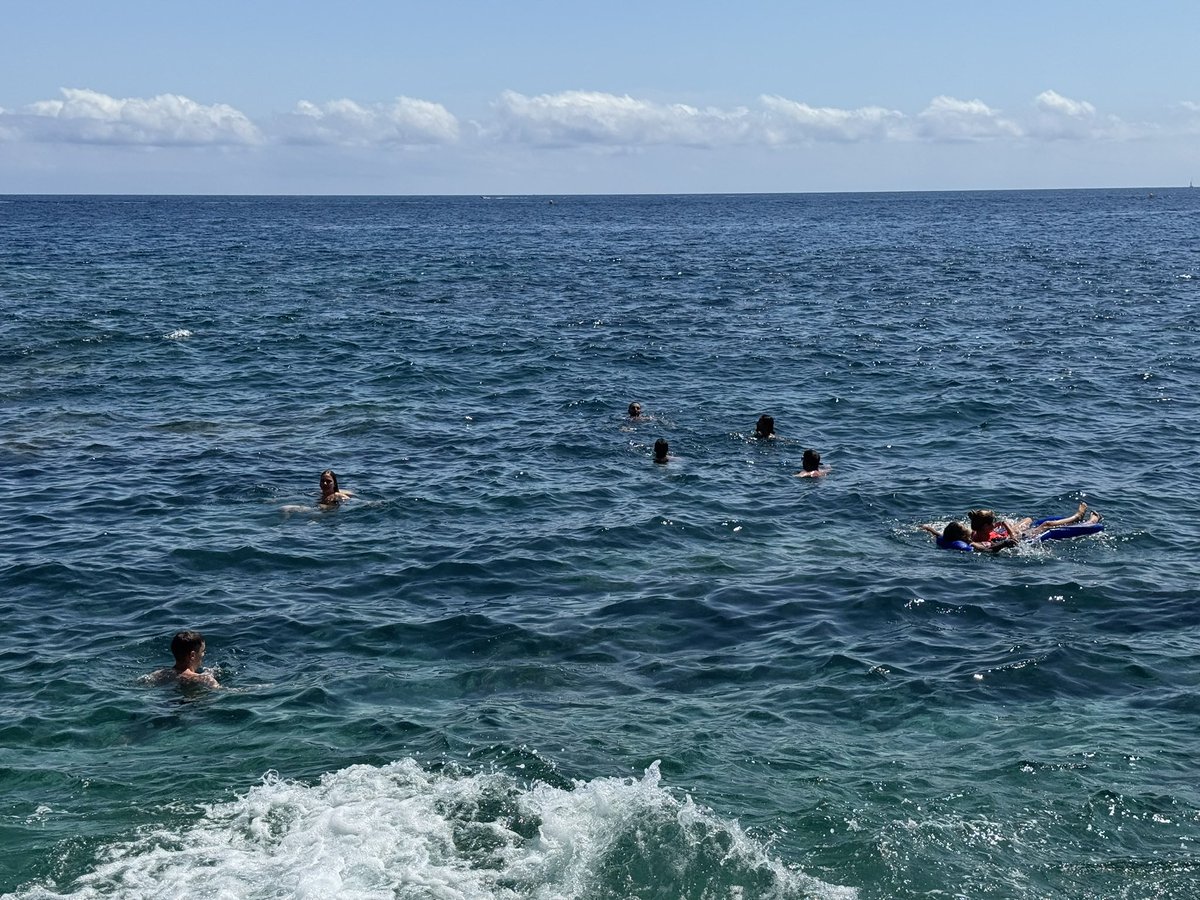 honeybunyyy tweet media