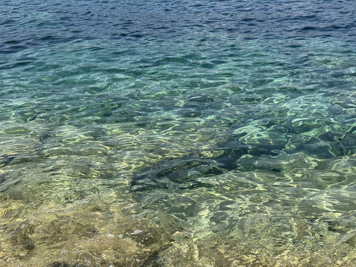 honeybunyyy tweet media