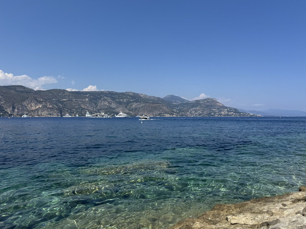 honeybunyyy tweet media