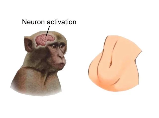 Ace D. Citone tweet media