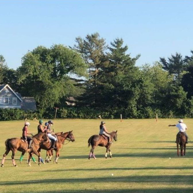 Newport Polo: Club Schedule APR 6-12 - mailchi.mp/newportpolo/we…