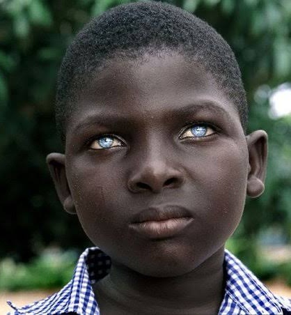 ShadowMario 🔥🇮🇱🔥🇺🇸🔥 tweet media