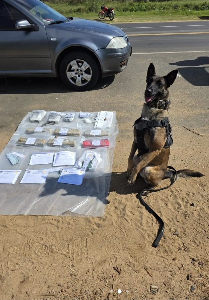 Traductor 🥹💕💐 tweet media