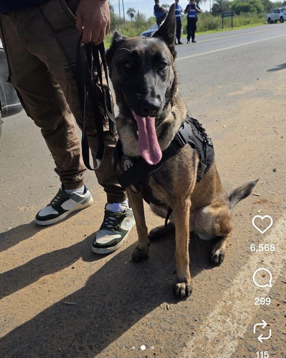 Traductor 🥹💕💐 tweet media