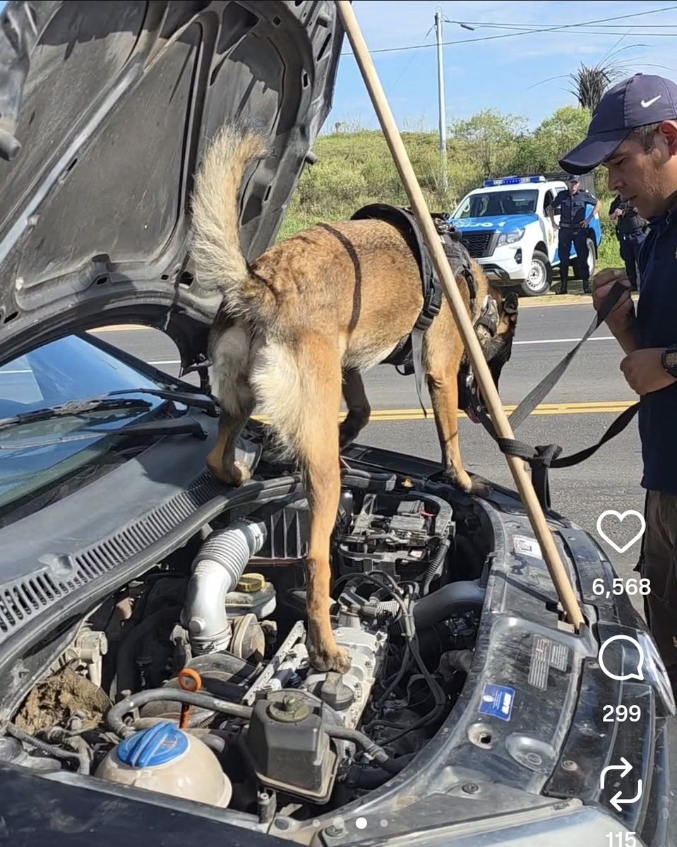 Traductor 🥹💕💐 tweet media