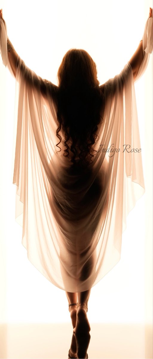 𝐼𝑛𝑑𝑖𝑔𝑜 𝑅𝑜𝑠𝑒 tweet media