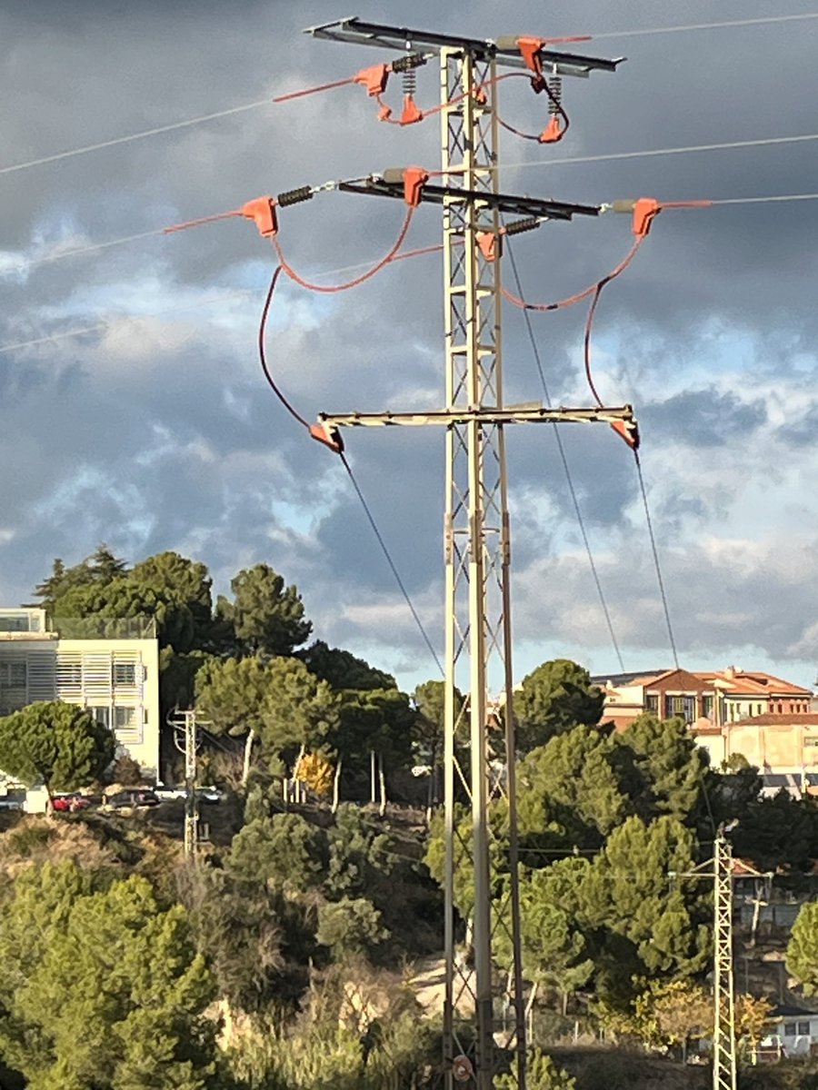 La correcció de torres elèctriques prioritàries per <a href="/Endesa/">endesa</a>  està donant resultats. Territori de duc recolonitzat. Cal continuar. Els nous ducs que porten GPS es posen en torres perilloses. Les sinergies entre investigadors, companyies i gestors és clau. Fot torre segura.