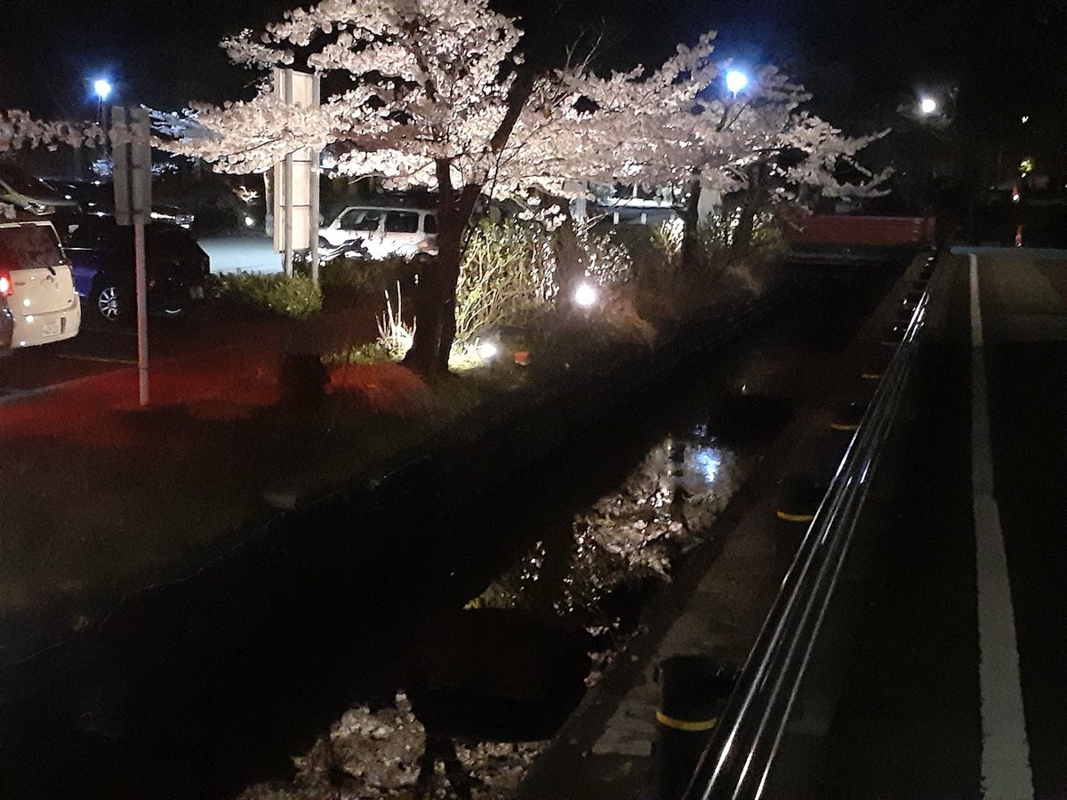 アレックスラミレス tweet media