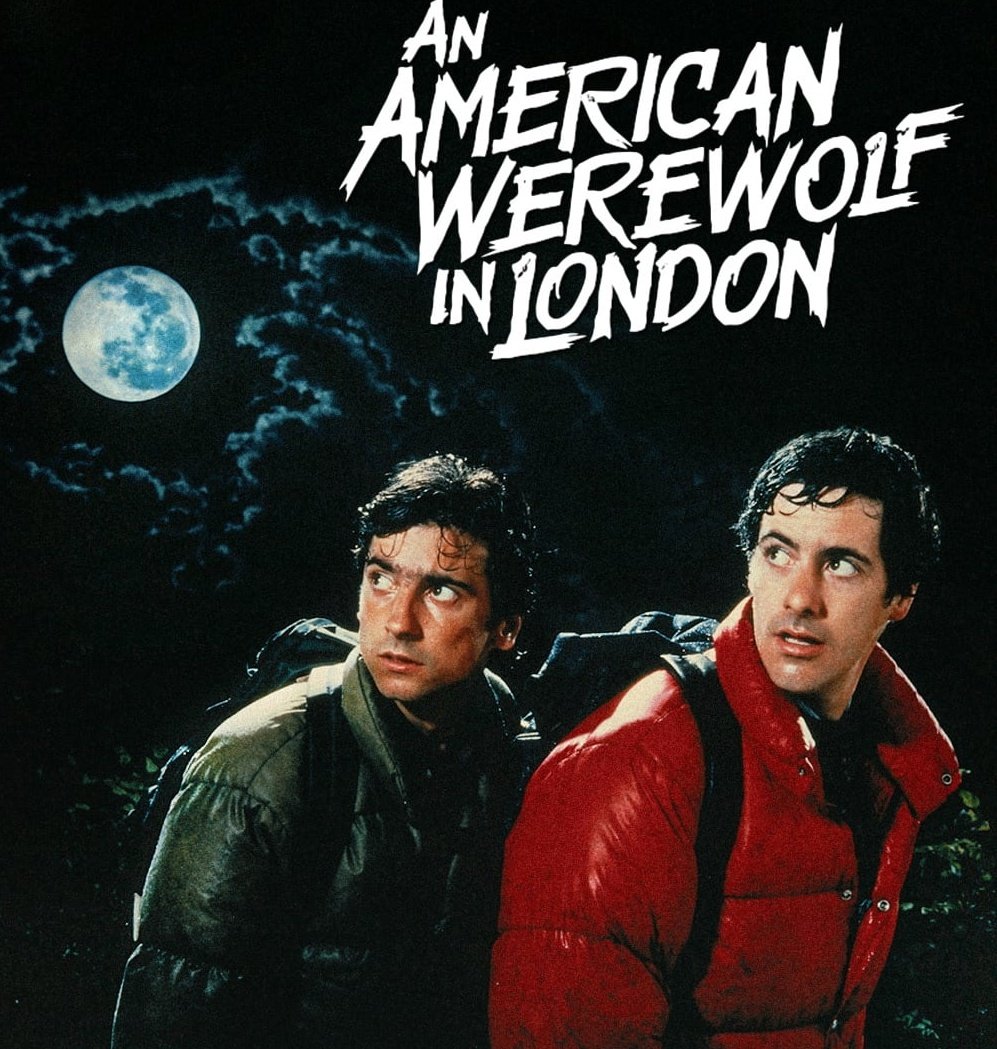 House of Dracula (☥𝐃𝐁) tweet media