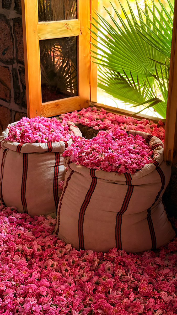 إمارة منطقة مكة المكرمة tweet media