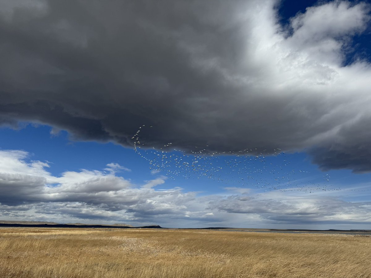 Chris 🌎 tweet media