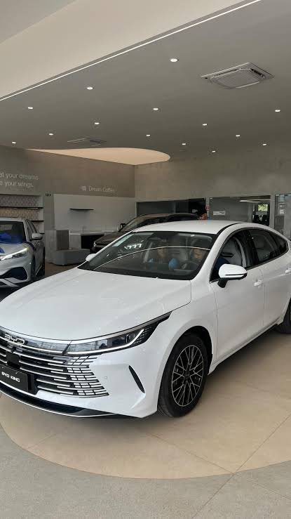 Mauro Ferreira tweet media