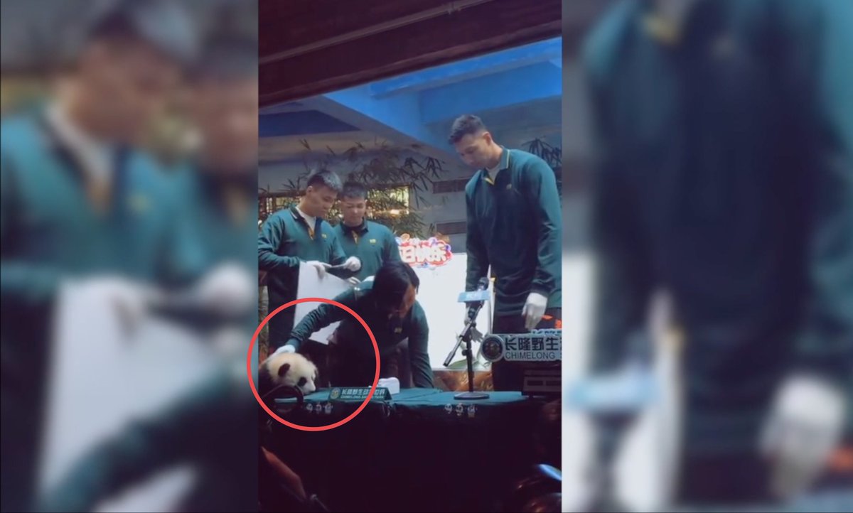 Click Comp tweet media