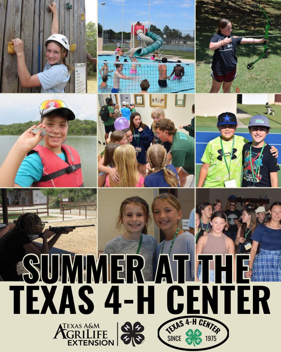 Texas 4-H tweet media