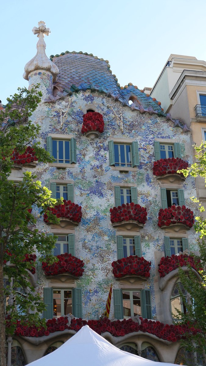 María Sender 🐺🇮🇪🔻💜 🌈 🍉 tweet media