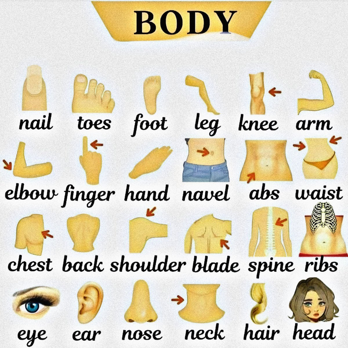 Gramatica en Inglés | Leila tweet media