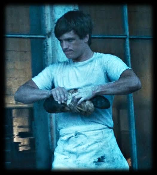 SAC | Jogos Vorazes ☀️ tweet media