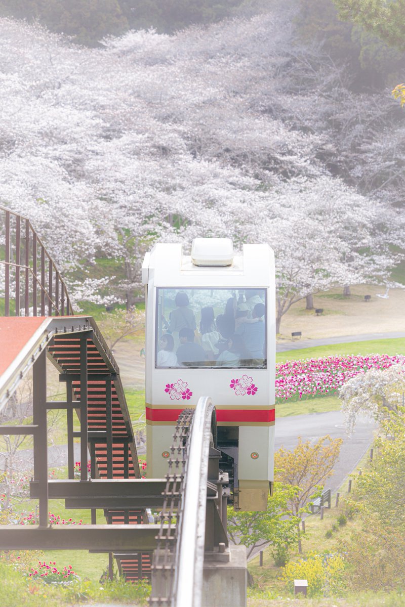 Dai@ミヤコダマン tweet media